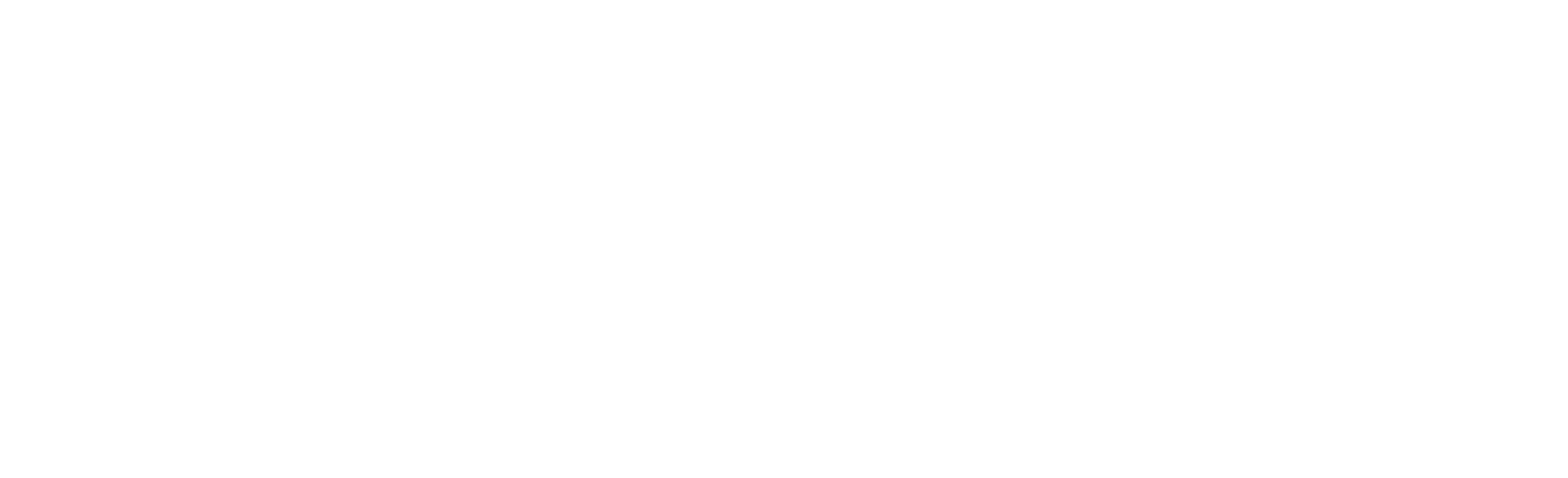SS_Logo_Small_White